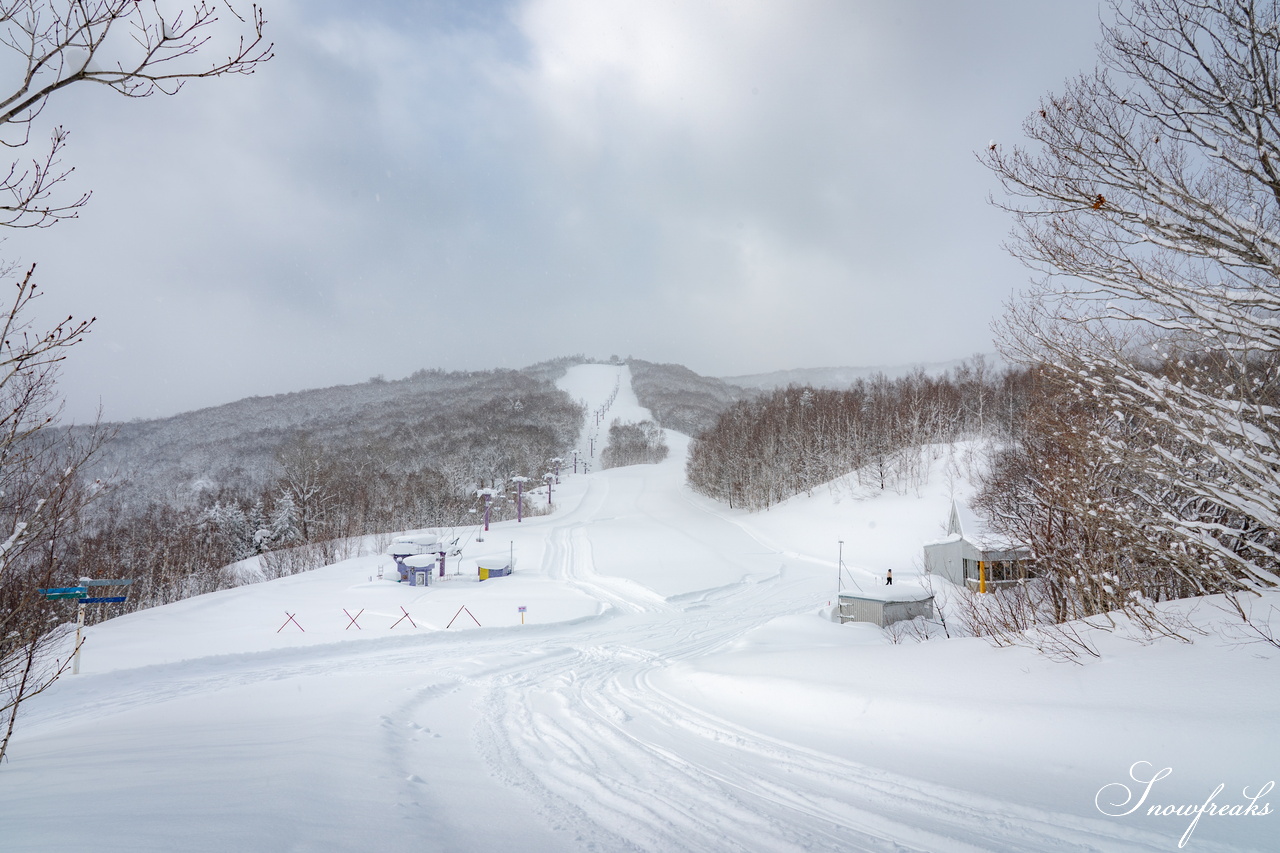 片岡嵩弥 - Takaya Kataoka - Powder Photo Session 2026 in ASARI